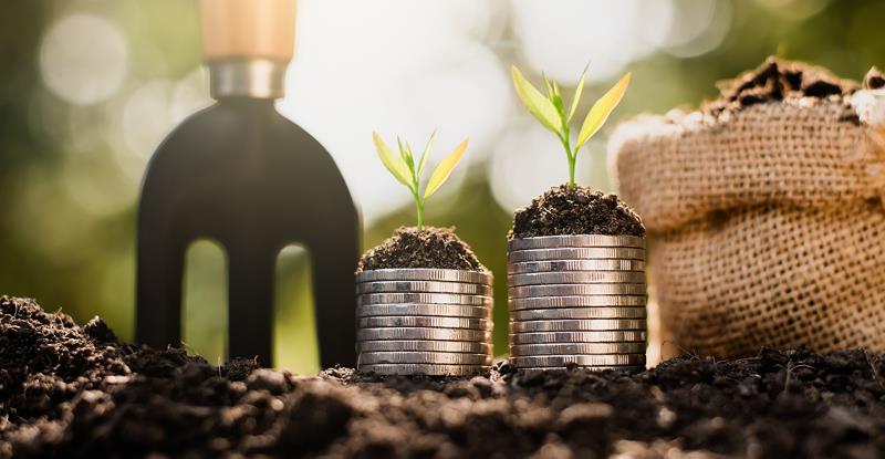 اقتصاد، ترویج و آموزش کشاورزی